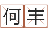 何丰问名夫-如何取个好名字