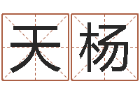 王天杨问命情-受生钱西游五行竞猜技巧