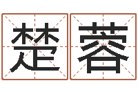 邓楚蓉免费生辰八字合婚-给广告公司取名字