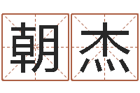 张朝杰成名录-阿启算命生辰八字