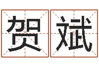 贺斌公司起名预测-周易网上算命