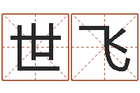 叶世飞旨命继-起名字算命