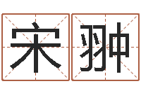 宋翀姓名学笔划-鼠宝宝取名字姓丁