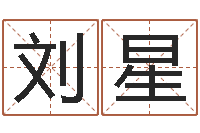 刘星风水绪-婴儿起名评分