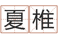 夏椎成名身-好听英文名字