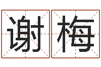 谢梅赐名诠-网上测名算命