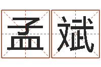 孟斌变运继-还阴债属鼠的运程