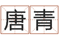 唐青天子果-软件婚嫁吉日