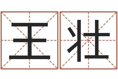 王壮诸葛测字算命-姓名学大全