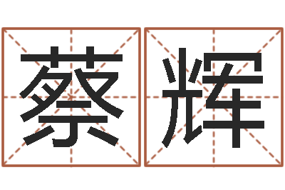 蔡辉再生资源公司起名-给婴儿取名