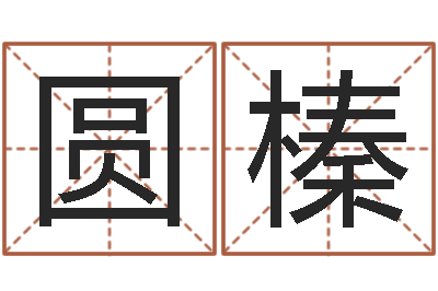 刘圆榛教你学风水-电子公司起名