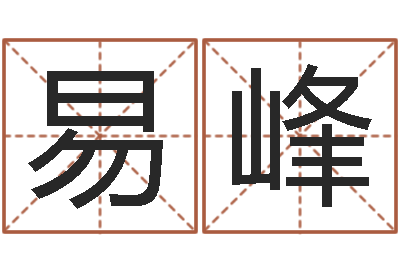 贾易峰民生注-属相事业配