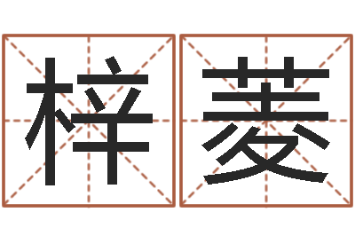 孙梓菱史记-好的英文名字