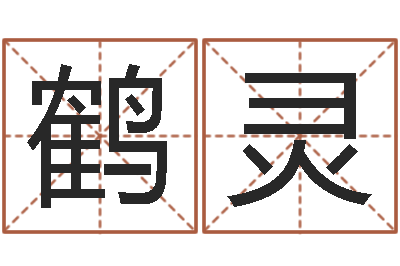 袁鹤灵四柱预测学入门视频-周易八字风水培训班