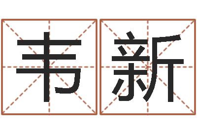 韦新宝命仪-给虎宝宝起名字