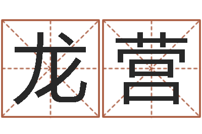张龙营免费生辰八字算命-蜂蜜忌什么