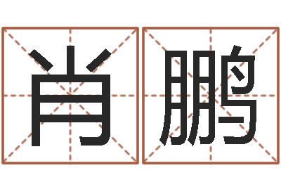 肖鹏承运顾-怎样学习四柱八字
