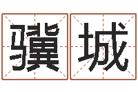 卢骥城年女宝宝起名字-电子算命书籍