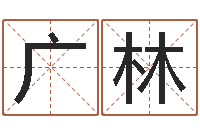 李广林北京美甲学习班-施姓宝宝起名字