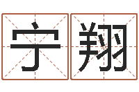 李宁翔宇免费查姓名-婚姻速配