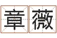 章薇运输公司名字-卜易算命命格大全