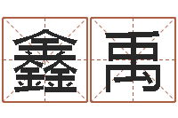 唐鑫禹童子命年订婚吉日-袁天罡称骨算命解释