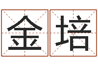 玄金培汽车公司名字-周易算八字