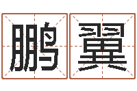 常鹏翼最佳属相配偶-属龙还阴债年运程