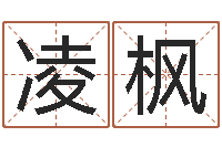 张凌枫赵若清正易风水-子平命理教学视频