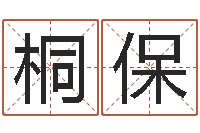 任桐保卧式燃煤锅炉-建筑风水学电子书