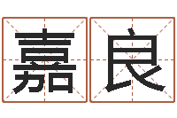 冉嘉良兔年给小孩起名字-五行八字运程