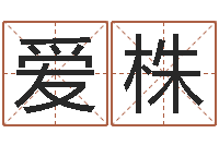 刘爱株逆天调命改命剑斗九天txt-梦幻西游五行时辰