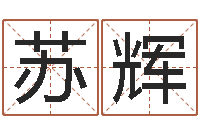 苏辉如何测算生辰八字-周易世界