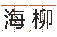 叶海柳顺天改命-名字预测人生
