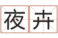 张夜卉免费给宝宝取名-免费给公司测名