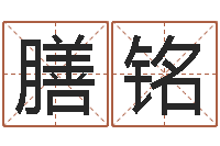 于膳铭免费为宝宝取名-宝宝取名字网站