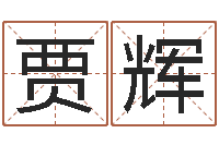 贾辉公司名字翻译-还受生钱年属鸡人的运势