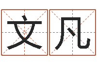 聂文凡风水大师第一人-姓名网测试