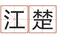 崔江楚周易入门算命书籍-教育改革研究会