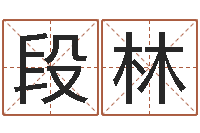 段林还阴债年在线八字算命准的-学风水看什么书