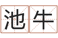 池牛阿启生辰八字算命-阳宅风水布局