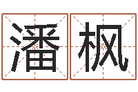 潘枫品牌起名网-奥运宝宝免费取名