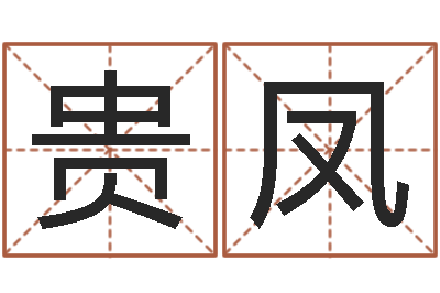 王贵凤名典号码测试-怎样给公司取名字