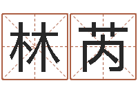 郝林芮算命取名字-在线批八字算命软件