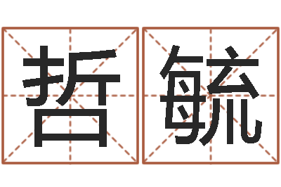 李哲毓四柱八字在线排盘-地支与生肖的配对