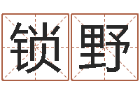 锁野男孩名字常用字-测名公司法案例