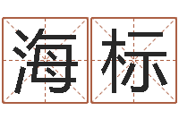 何海标免费婚姻八字配对-梦命格诸葛亮出刷新