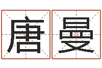 唐曼风水大师李居明视频-八字过硬