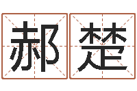 郝楚云南省监狱管理局-四柱分析