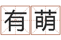 许有萌小孩想做贪官-赵姓鼠年男宝宝起名